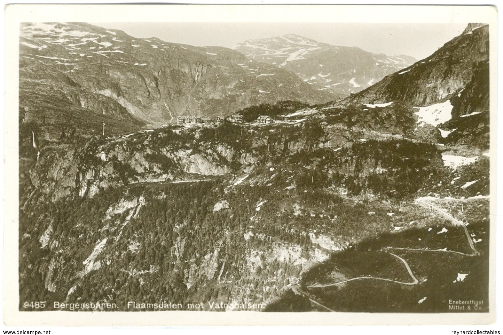 1900's, Norway- Flaamsdalenmot Vatnahalsen, Bergensbanen, Real Photo Pc, Unused. - Norvège