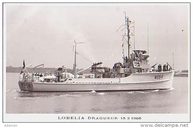 Dragueur        93        Dragueur LOBELIA - Warships