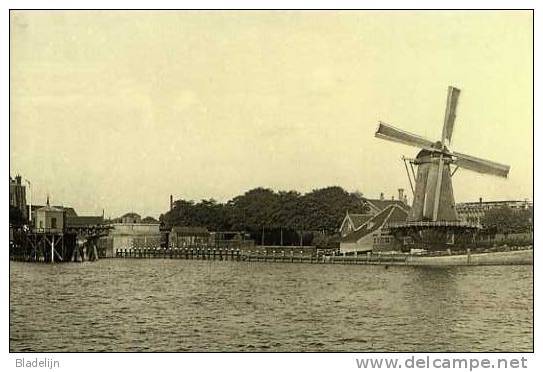 DORDRECHT (Zuid-Holland) - Molen/moulin - Mooie Prentkaart Van De Verdwenen Oliemolen De Zeelt Omstreeks 1900 - Dordrecht