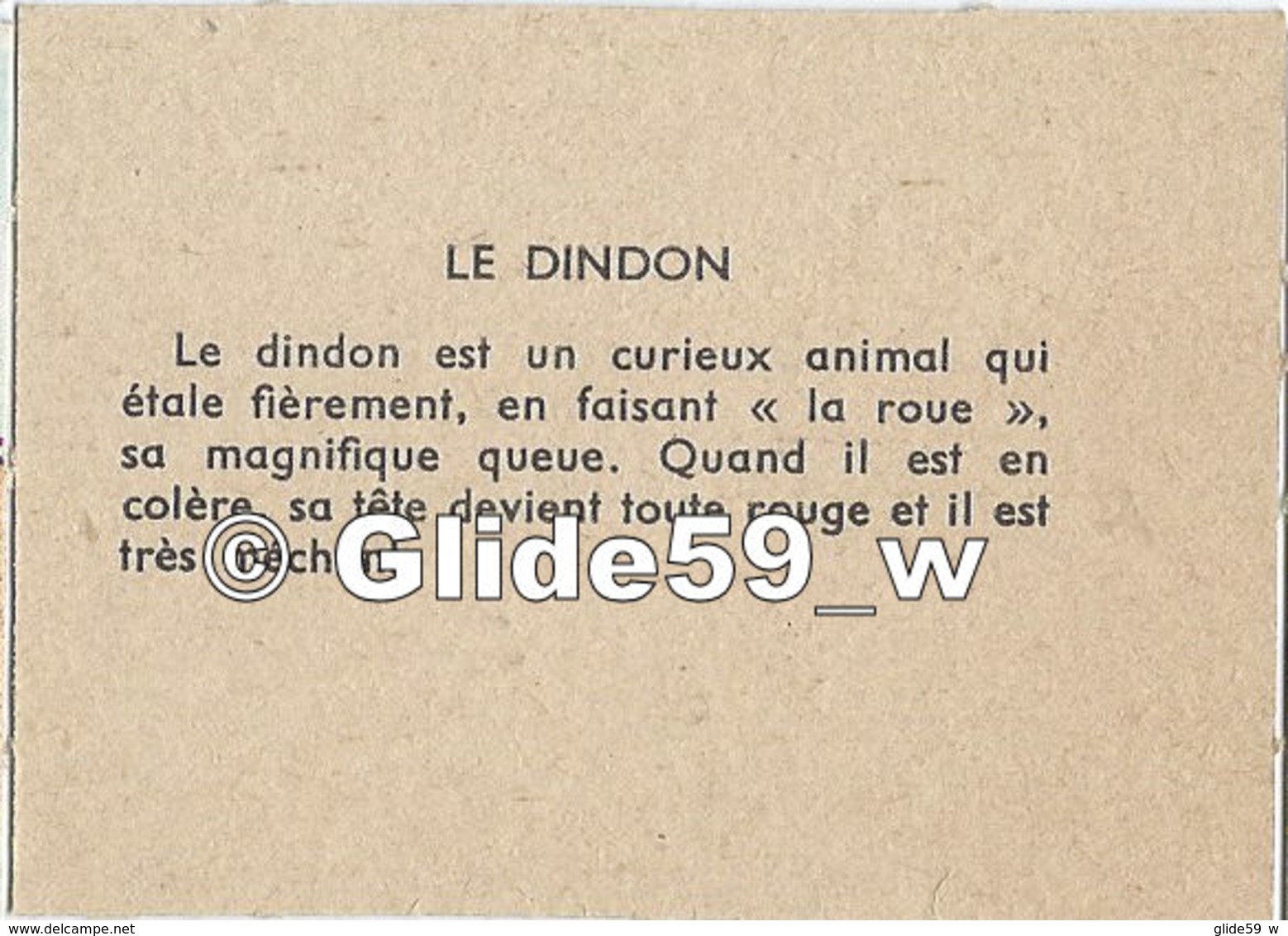 Image - Le Dindon - 2 - Animals
