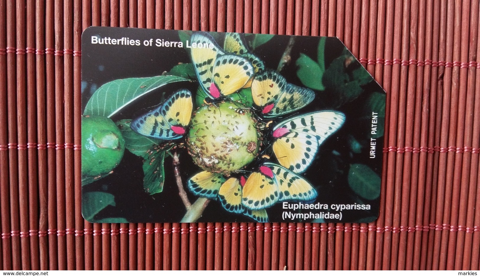 Phonecard Sierra Leone Buterfly Rare - Sierra Leona