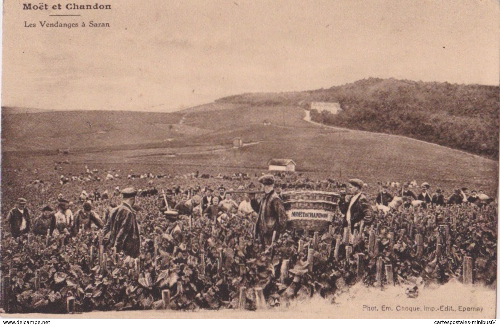 CHOUILLY (51) - Domaine Du Château De Saran - Les Vendanges à Saran - Sonstige & Ohne Zuordnung