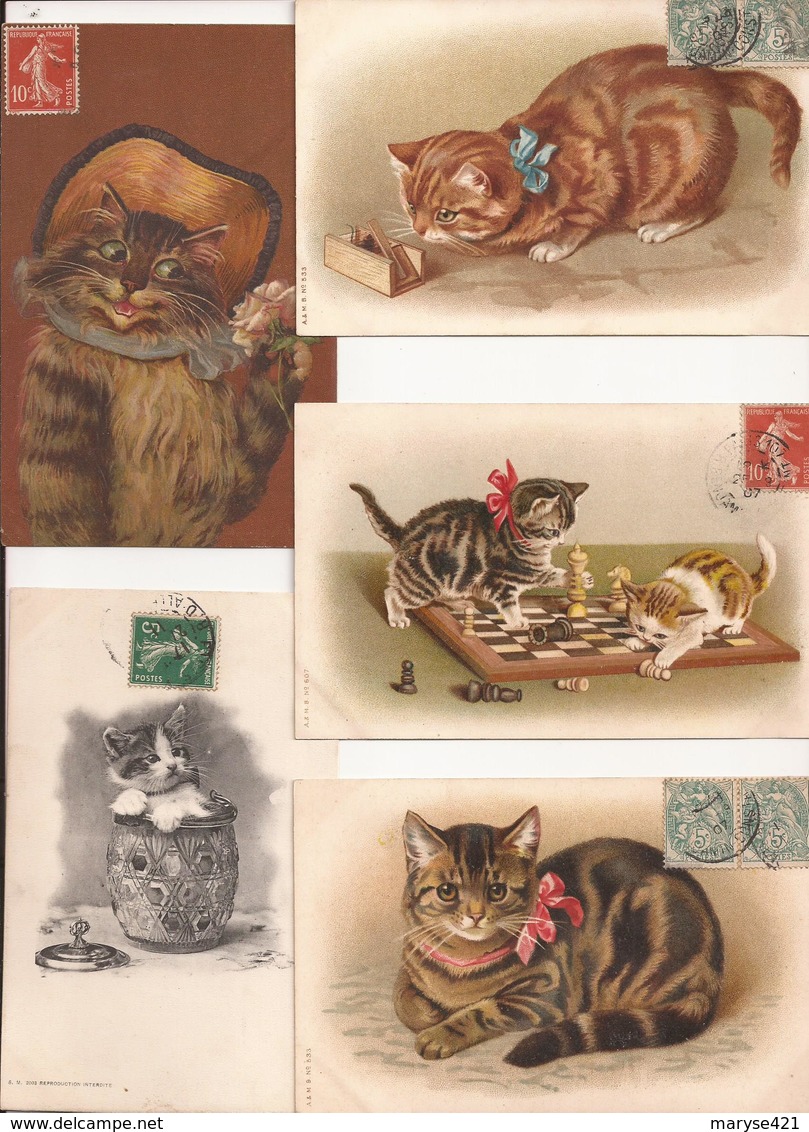 8 CARTES DE CHATS - Chats