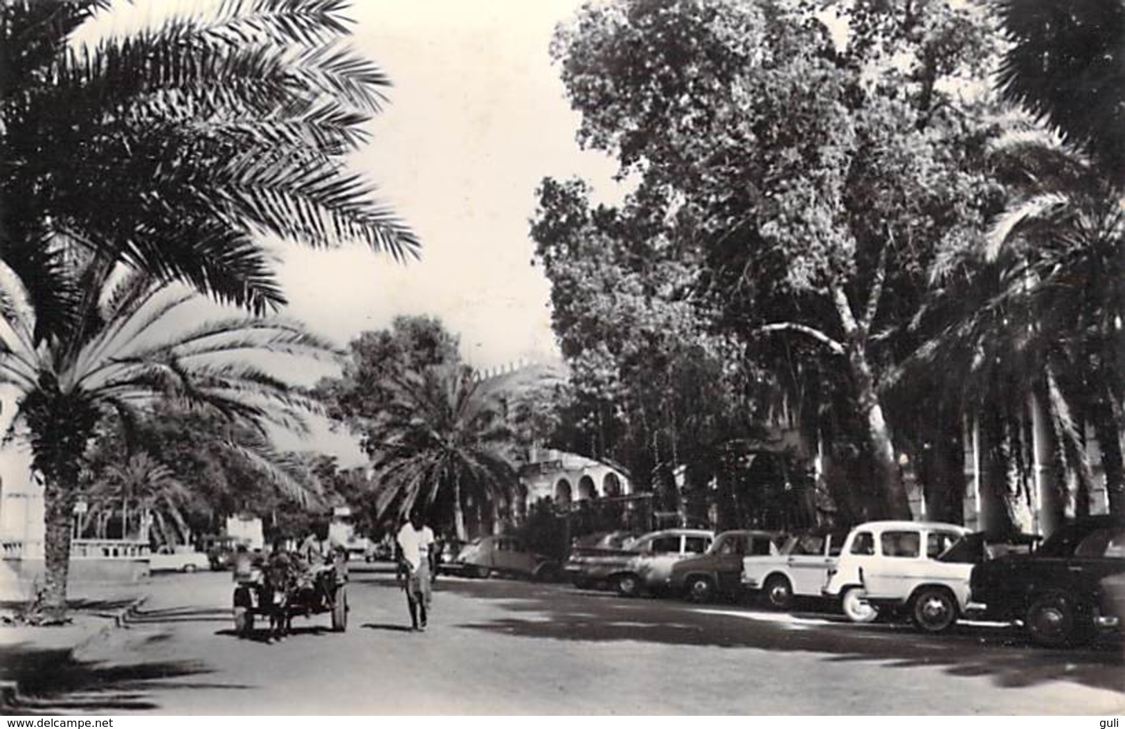 Afrique DJIBOUTI Le Centre (auto Voiture)(Cpsm Photo - Editions ABEILLE 68 ) *PRIX FIXE - Djibouti