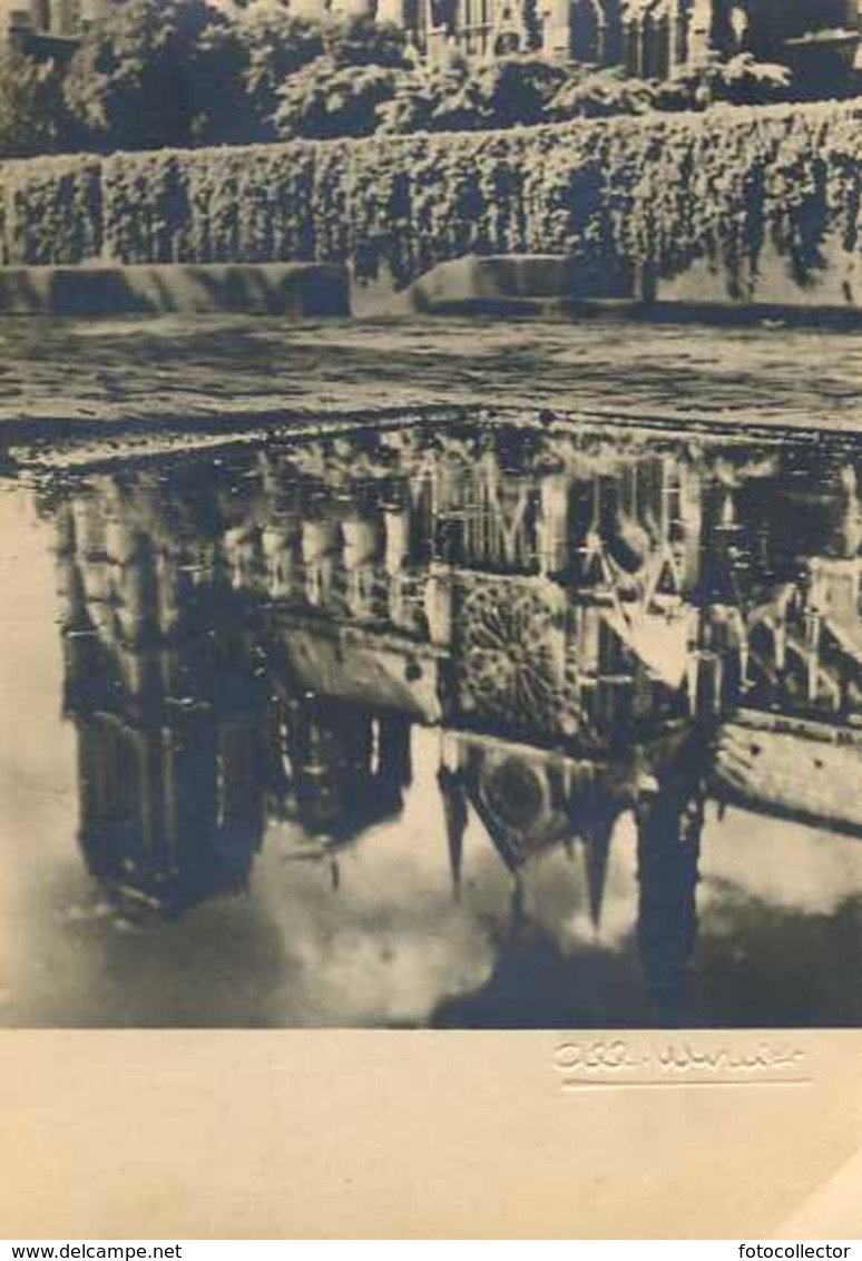 Paris Image De Notre Dame Par Albert Monier - Monier