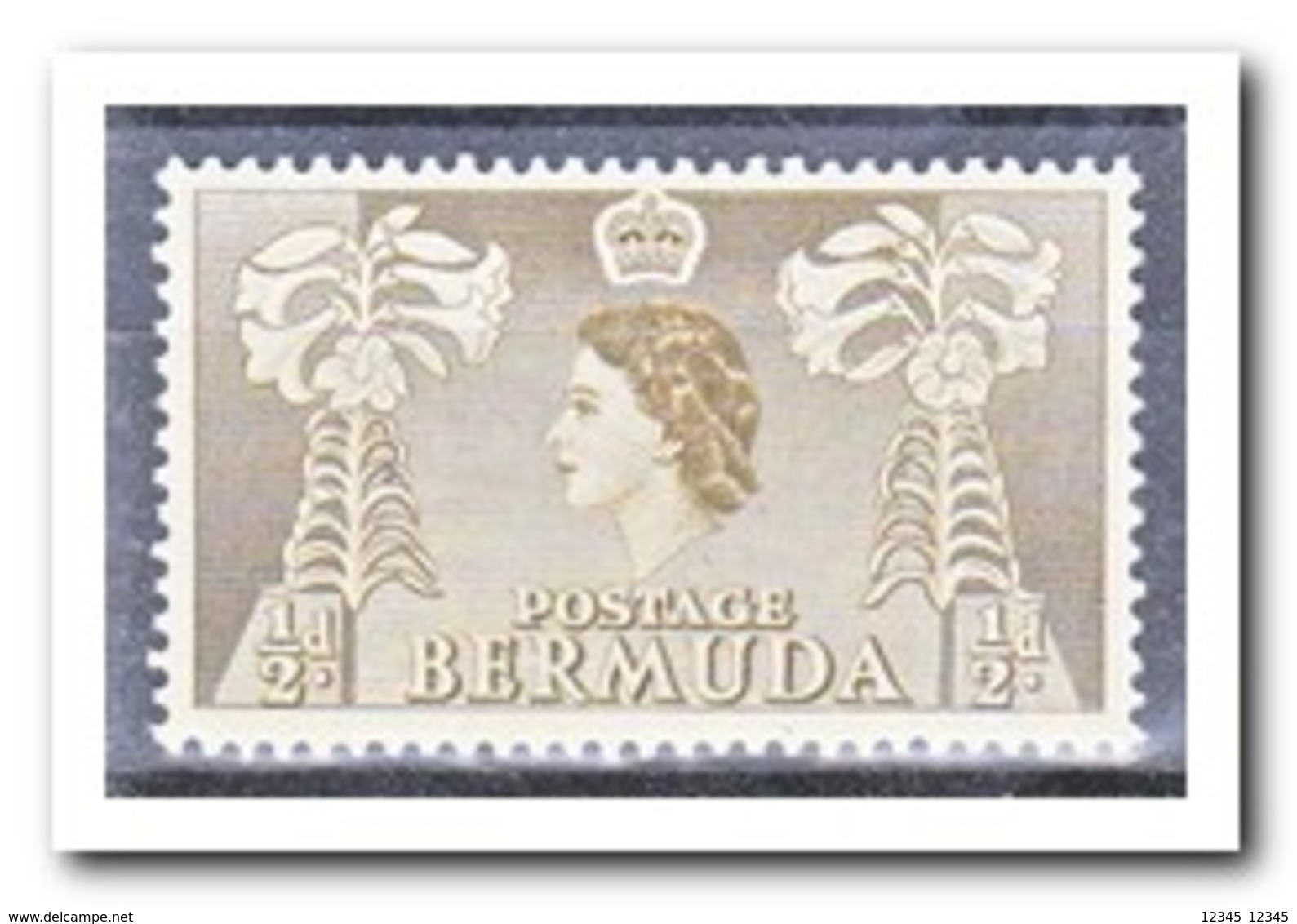 Bermuda 1953, Postfris MNH, Flowers, Queen - Bermuda