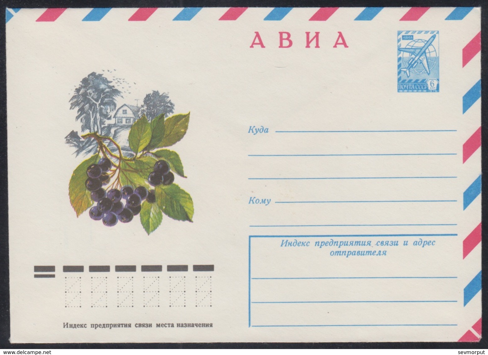 12861 RUSSIA 1978 ENTIER COVER Mint PLANT Plants BERRY BAIE BEERE CHOKEBERRY ARONIA Bush BUISSON GEBÜSCH Food NATURE 300 - Andere & Zonder Classificatie