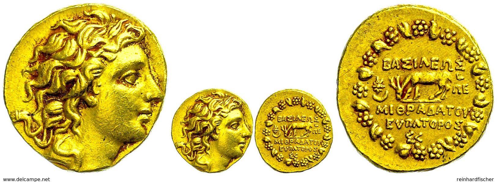 43 Stater (7,93g), Gold, 120-63 V. Chr., Mithradates VI. Eupator. Av: Kopf Nach Rechts. Rev: Kranz, Darin Ein Hirsch Mit - Autres & Non Classés