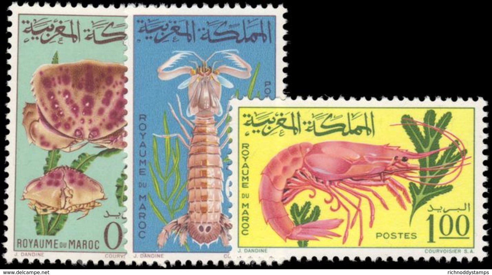 Morocco 1965 Shell Fish Unmounted Mint. - Morocco (1956-...)