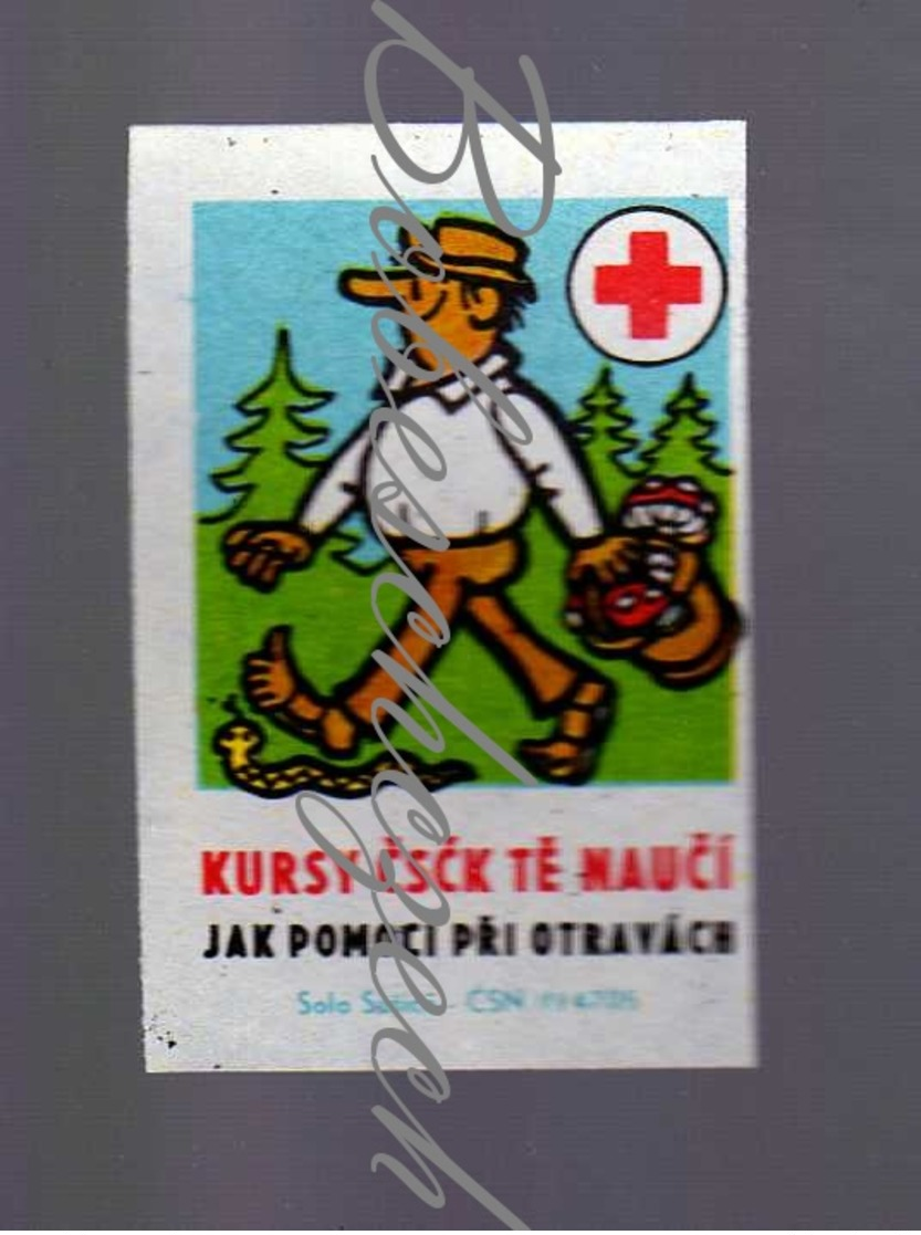 71-63 CZECHOSLOVAKIA 1967 CZ Red Cross Cruz Roja CZ Croix-Rouge Courses  Mushroom Poisoning Man Forest Viper, Amanita - Matchbox Labels