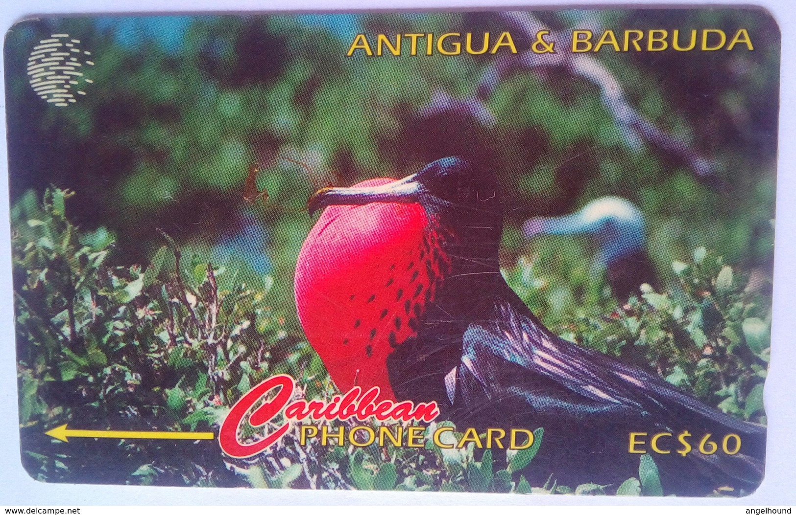 14CATB Frigate Bird EC$60 - Antigua And Barbuda