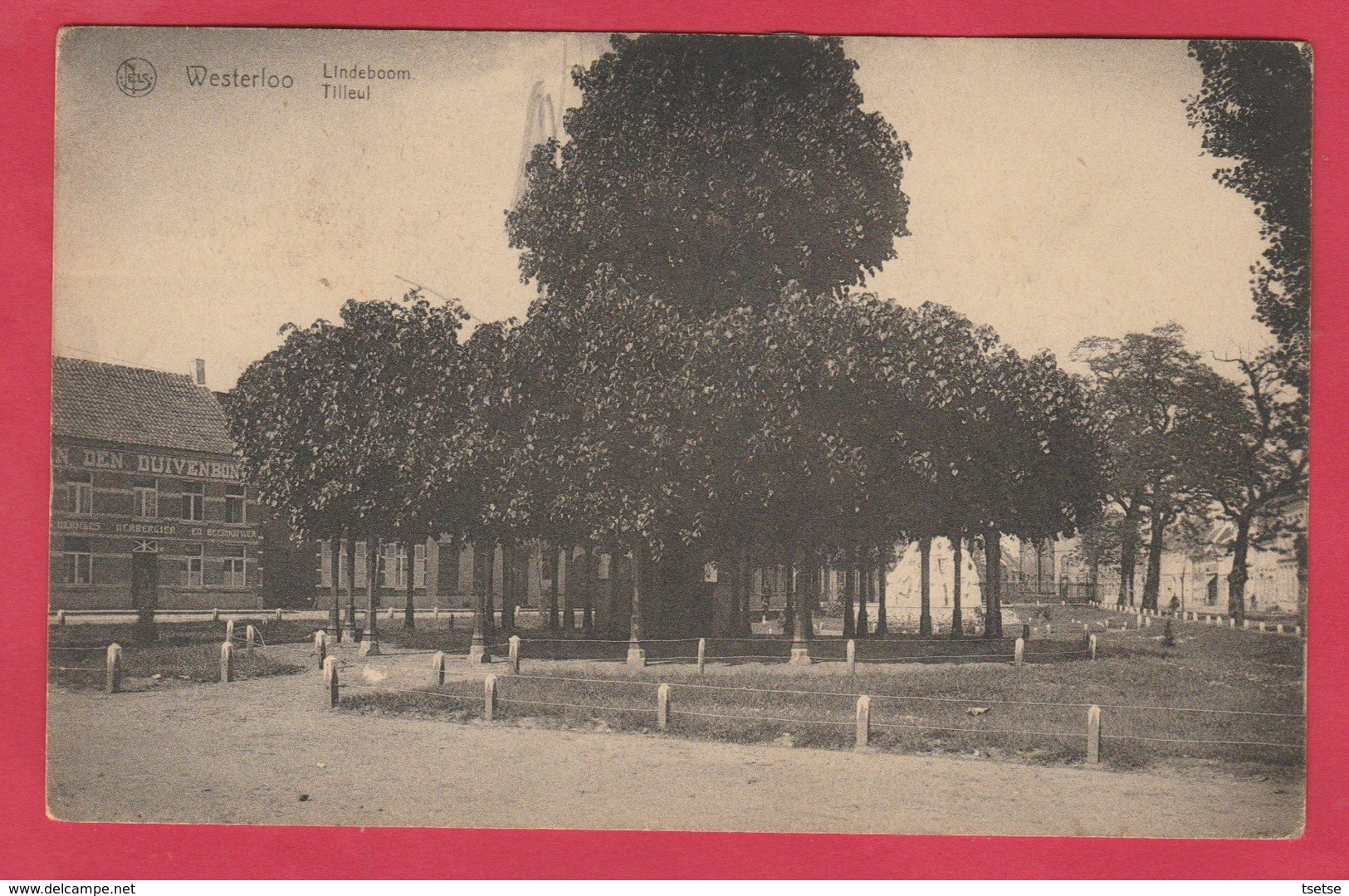 Westerlo - Lindeboom  -1925 ( Verso Zien ) - Westerlo