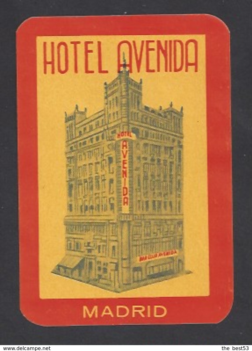 étiquette Valise  -   Hôtel  Avenida  à  Madrid  Espagne - Hotel Labels