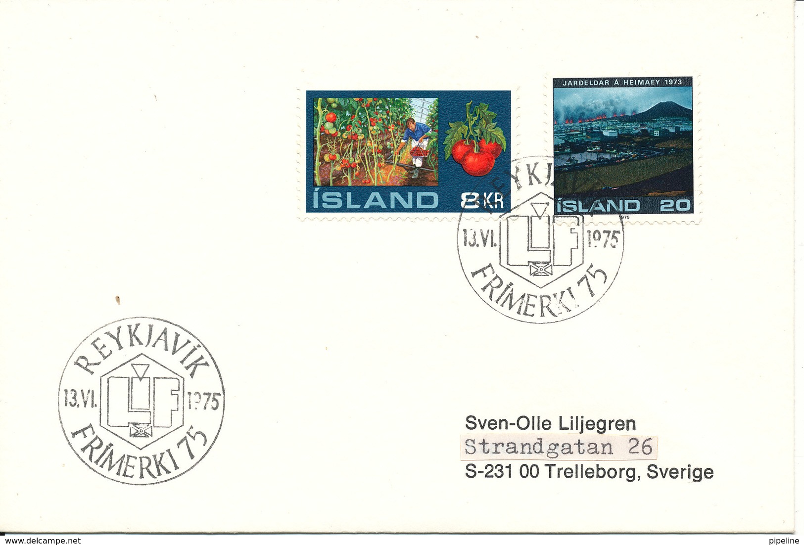 Iceland Cover Special Postmark Reykjavik 13-6-1975 Topic Stamps - Briefe U. Dokumente