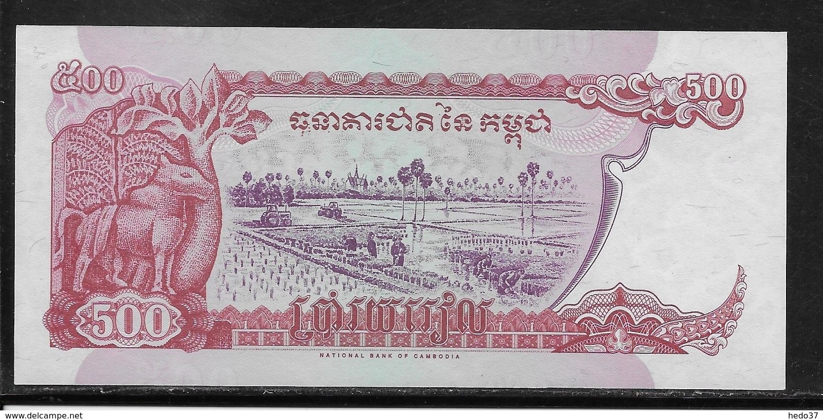 Cambodge - 500 Riels - Pick N°43 - NEUF - Kambodscha
