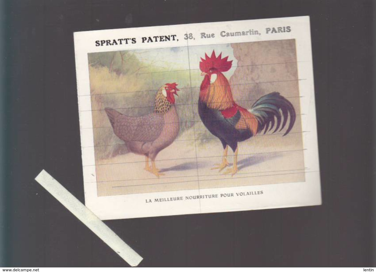 Aviculture - Couveuse Hearson, éleveuses, Nourritures Volailles, Oeufs, - Spratt's Patent Rue Caumartin Paris - Publicités