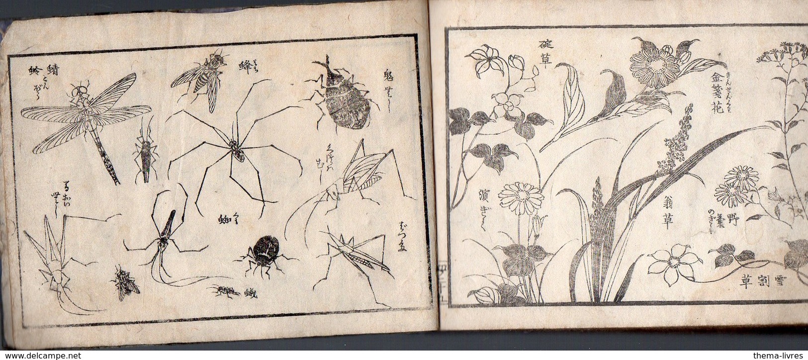 (Japon) Carnet De 50pp De Dessins Avec Indications En Japonais... (PPP8498) - Livres Anciens