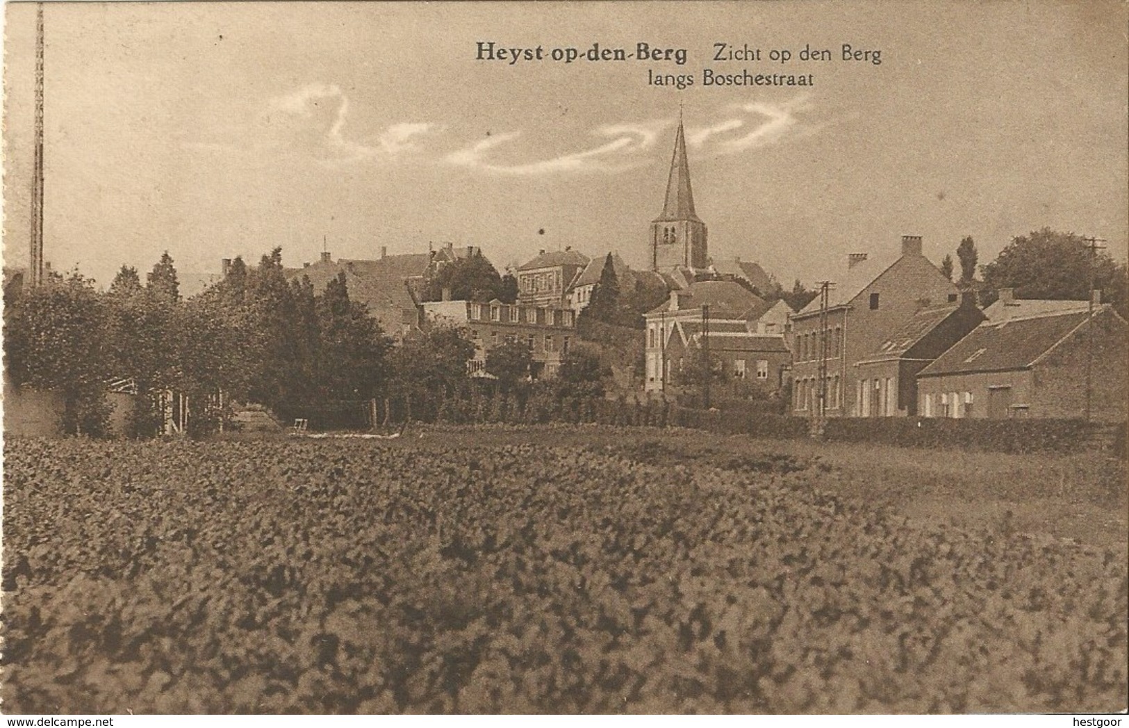 Zicht Op Den Berg Langs Boschestraat - Heyst-op-den-Berg - Heist-op-den-Berg