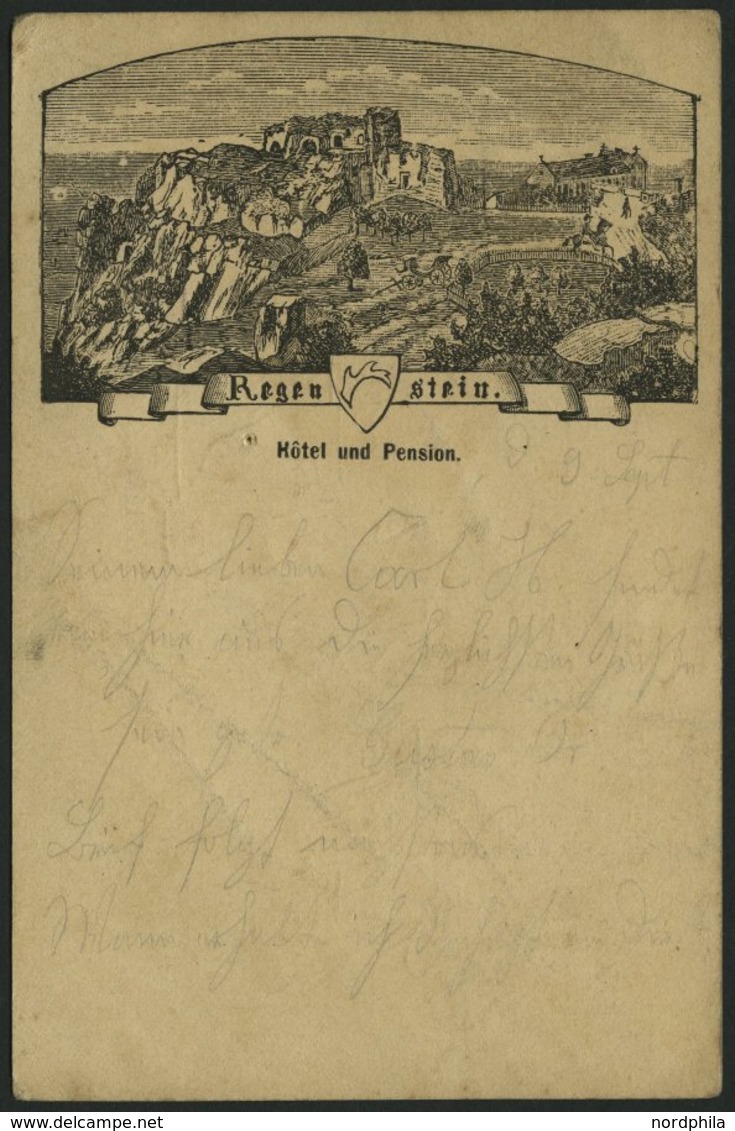 GANZSACHEN PP 6F 78 BRIEF, Privatpost: 1886, 5 Pf. Lila Regenstein, Hotel Und Pension, Stempel BLANKENBURG, Feinst - Andere & Zonder Classificatie