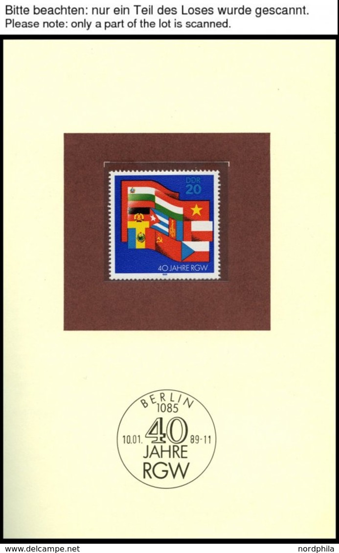 JAHRESZUSAMMENSTELLUNGEN J 6 **, 1989, Jahreszusammenstellung, Pracht, Mi. 170.- - Andere & Zonder Classificatie