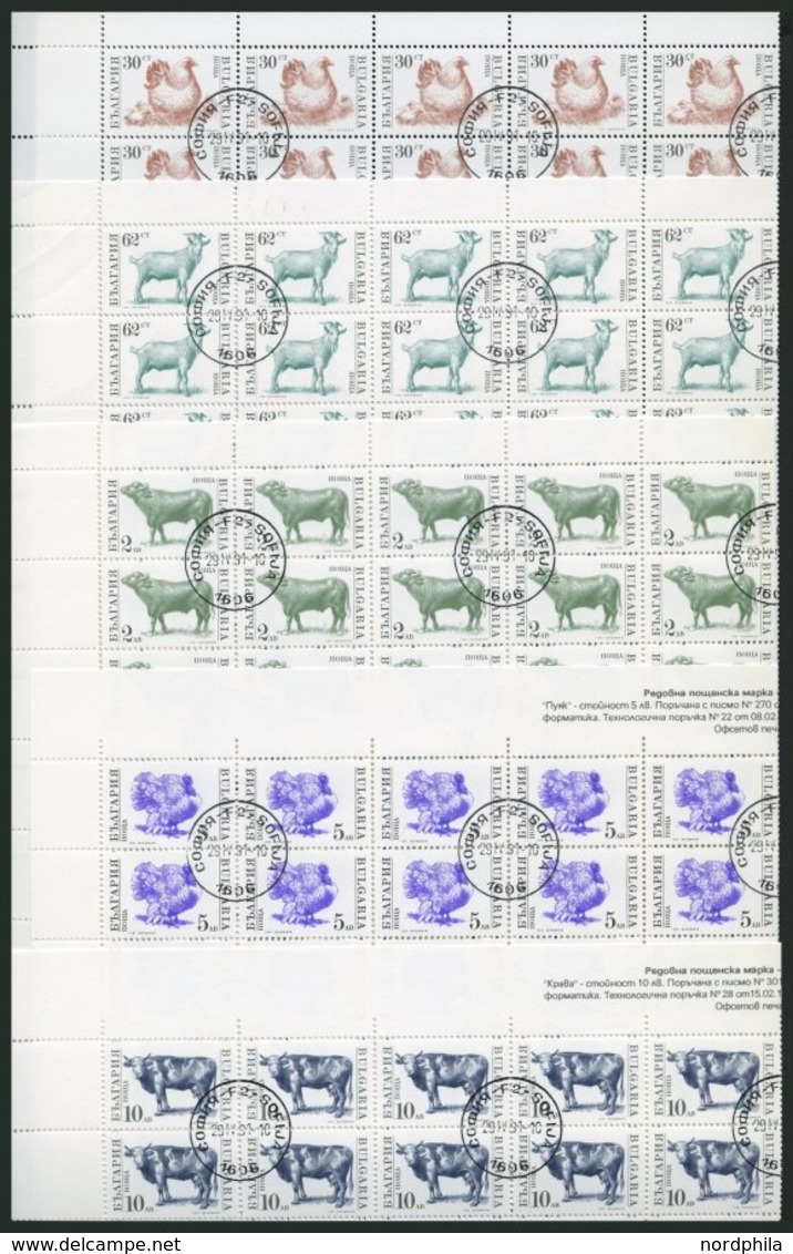 BULGARIEN 3881-85 O, 1991, Haustiere Im Bogensatz (100), 1x Gefaltet, Pracht, Mi. 450.- - Otros & Sin Clasificación