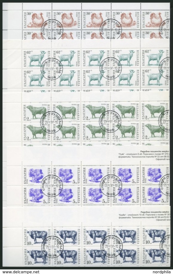 BULGARIEN 3881-85 O, 1991, Haustiere Im Bogensatz (100), 1x Gefaltet, Pracht, Mi. 450.- - Altri & Non Classificati