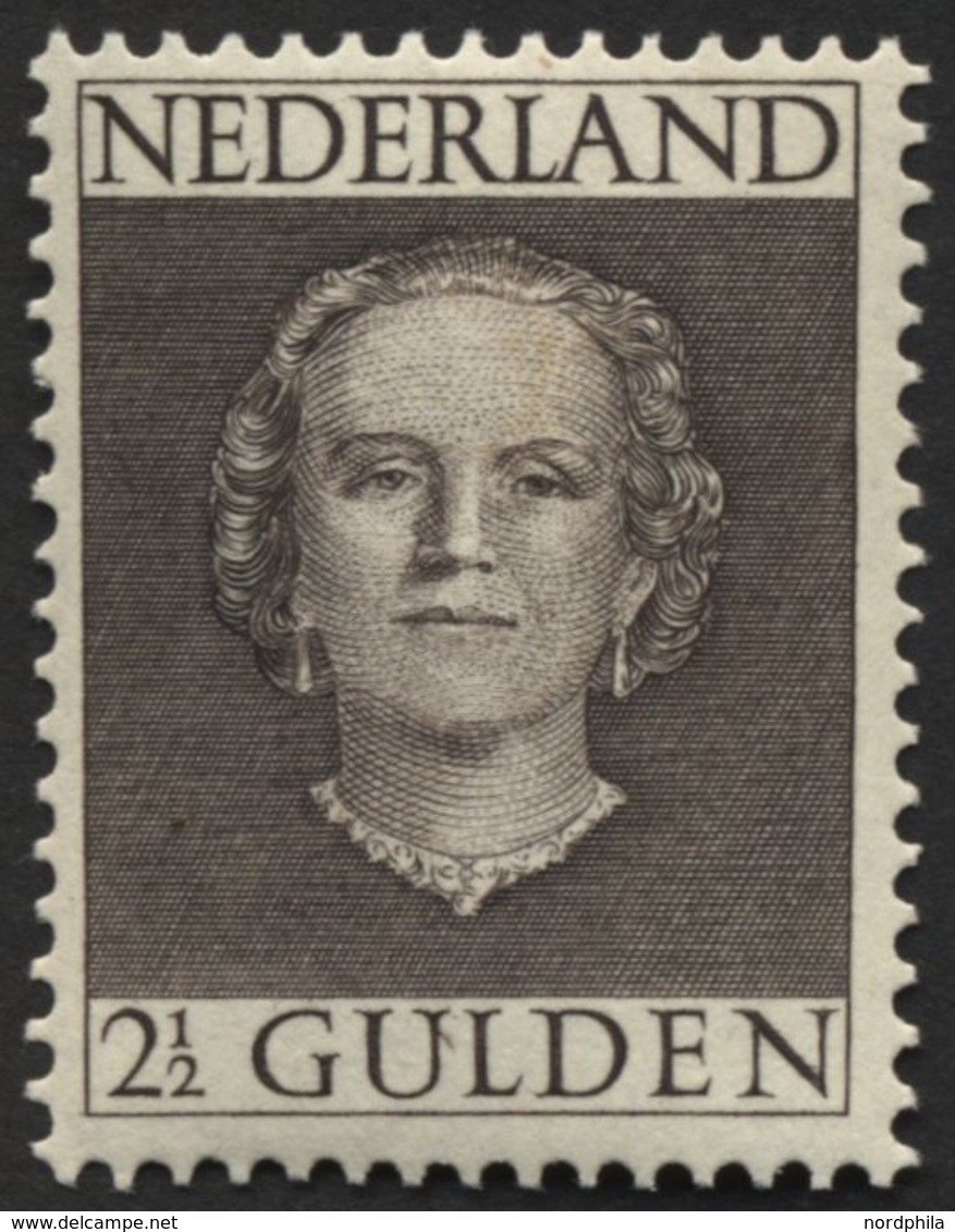 NIEDERLANDE 541 **, 1949, 21/2 G. Graubraun, Pracht, Mi. 200.- - Andere & Zonder Classificatie