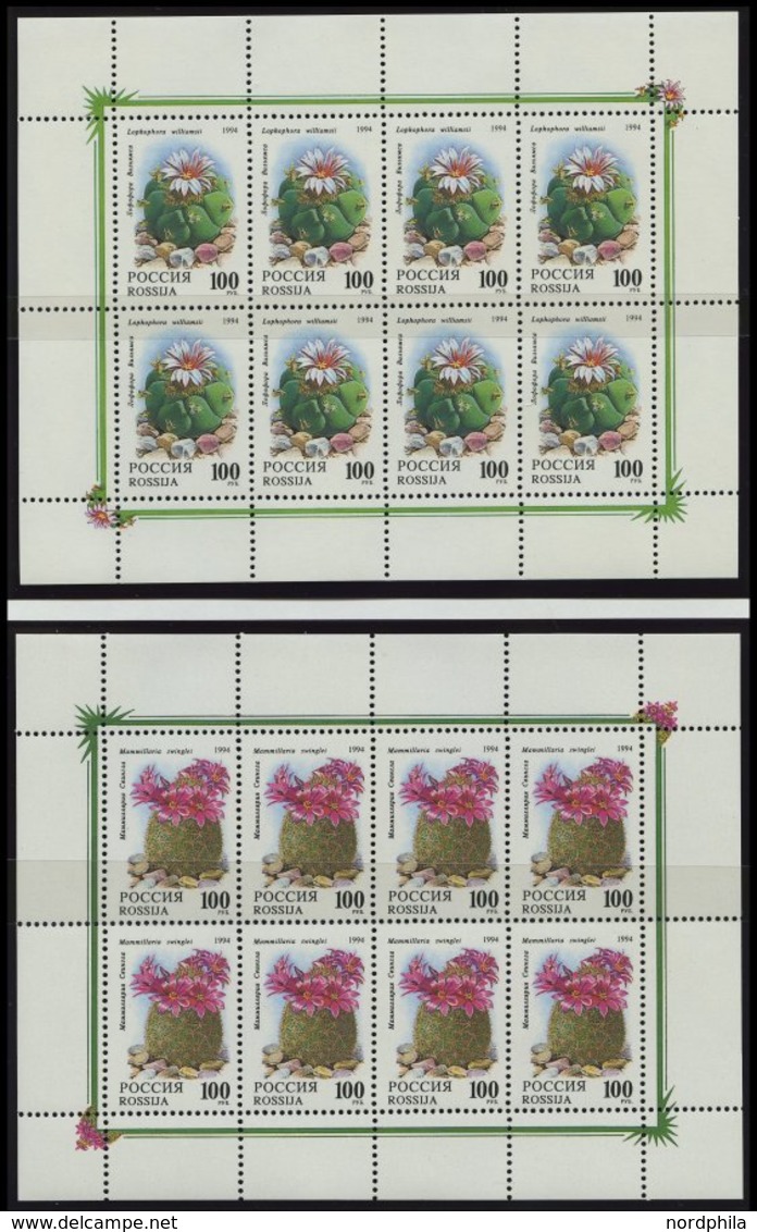 SAMMLUNGEN, LOTS **, Komplette Postfrische Sammlung Russland Von 1992-95 Im KA-BE Album Mit Diversen Kleinbogen Und Zusa - Verzamelingen