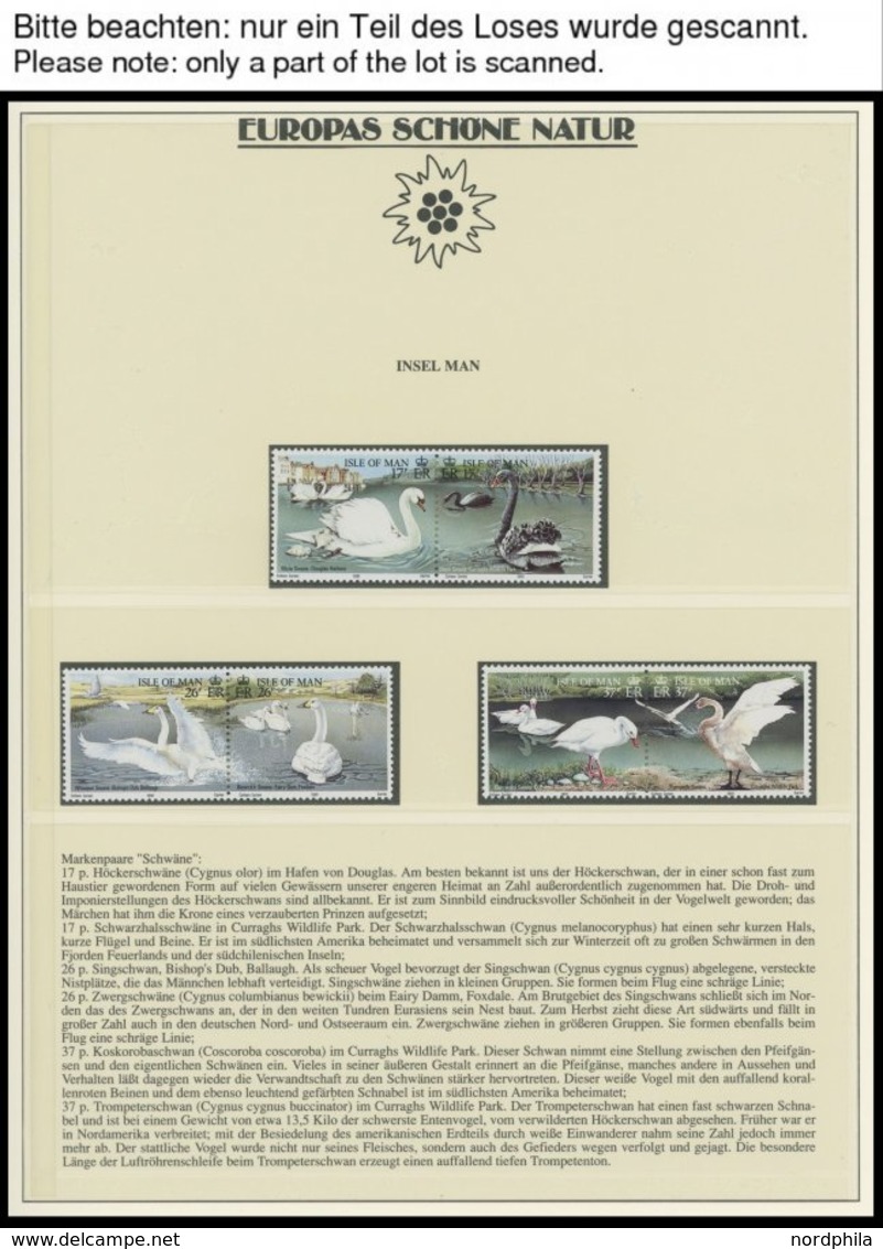 SONSTIGE MOTIVE **, Europas Schöne Natur Im Lindner Spezialalbum Mit Blocks, Zusammendrucken, Markenheftchen, Maximumkar - Non Classificati