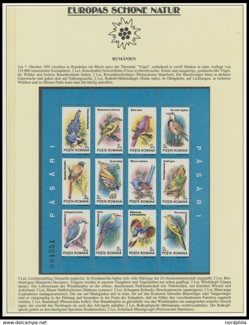 SONSTIGE MOTIVE **, Europas Schöne Natur Im Lindner Spezialalbum Mit Blocks, Zusammendrucken, Markenheftchen, Maximumkar - Zonder Classificatie