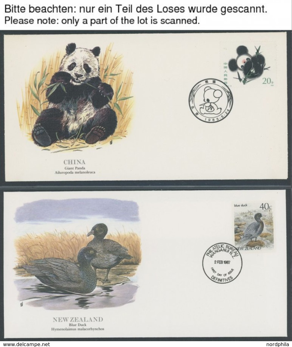 SONSTIGE MOTIVE Pflanzen Und Tiere Der Welt, 96 Verschiedene FDC`s Der National Audubon Society, Prachterhaltung - Zonder Classificatie