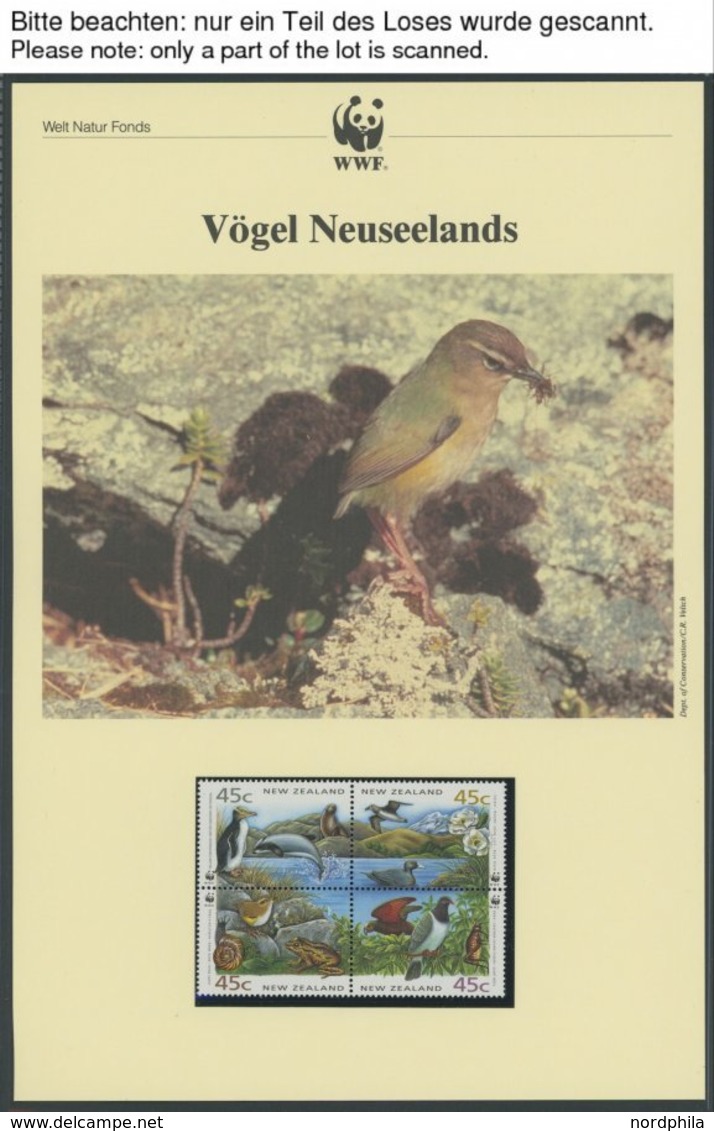 SONSTIGE MOTIVE **, Brief , World Wildlife Fund Aus 1990-97 Mit über 90 Kapiteln In 8 Spezialalben Und Losem Material, J - Zonder Classificatie