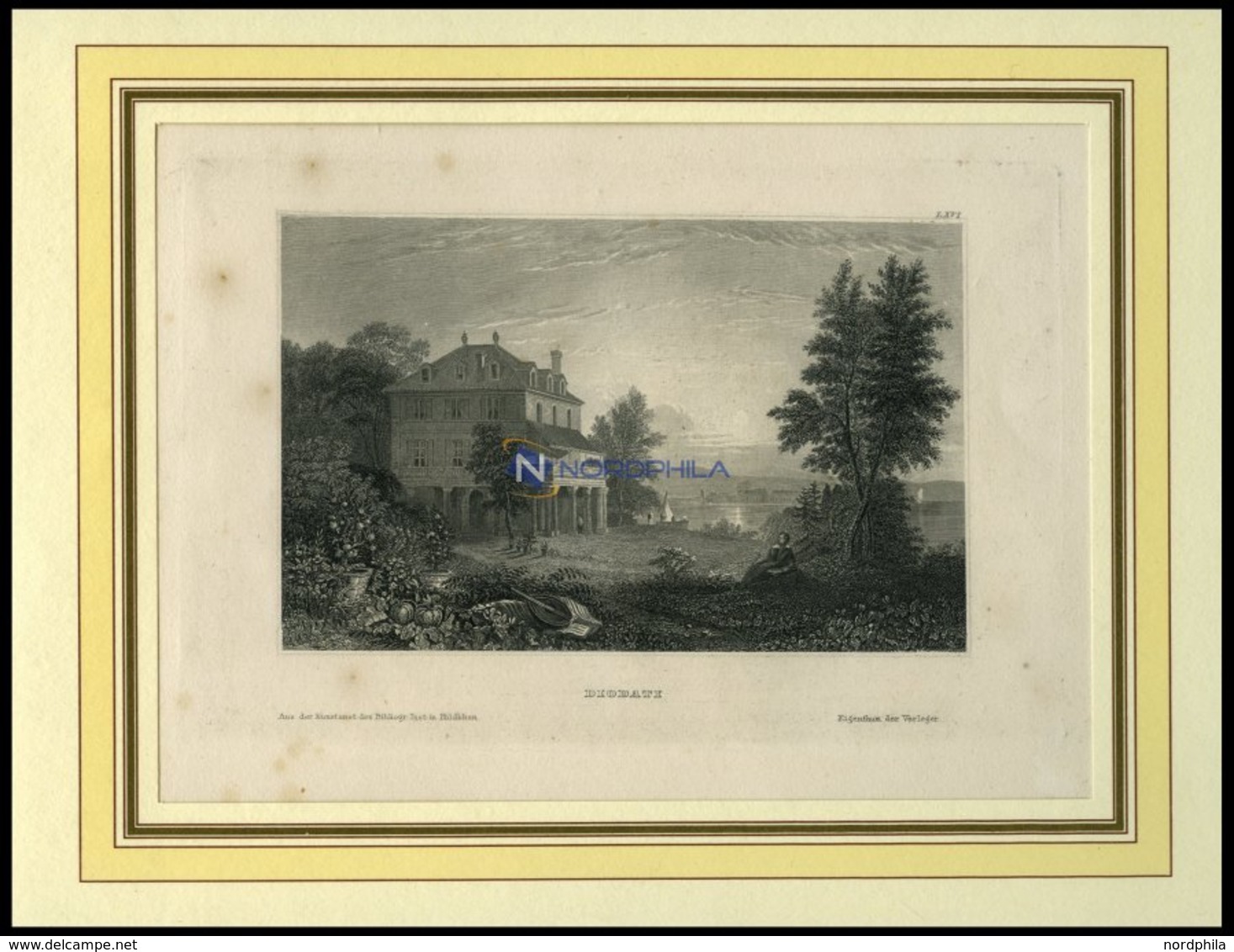 DIODATI, Ansicht Einer Romantischen Villa Mit Mediterranem Garten Am Wasser, Stahlstich Hildburghausen, 19. Jh. - Litografia