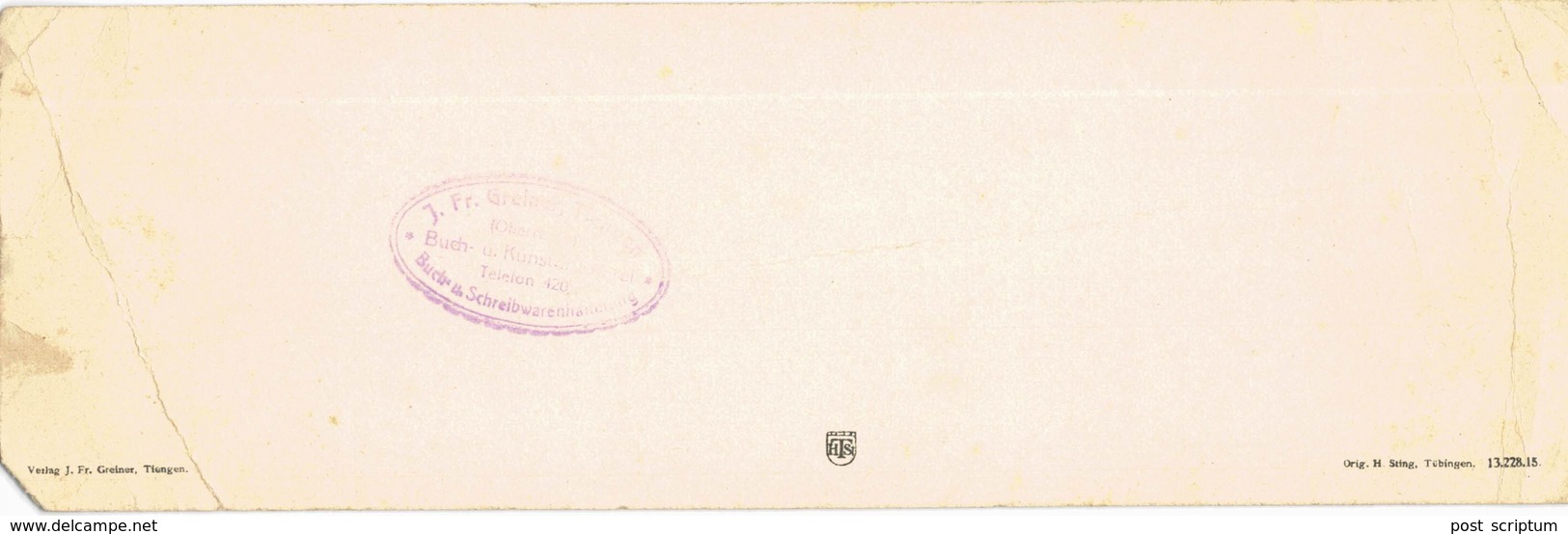 Allemagne - Tiengen - Carte Grand Format 9*28 Cm - VOIR ETAT (Falte) - Waldshut-Tiengen