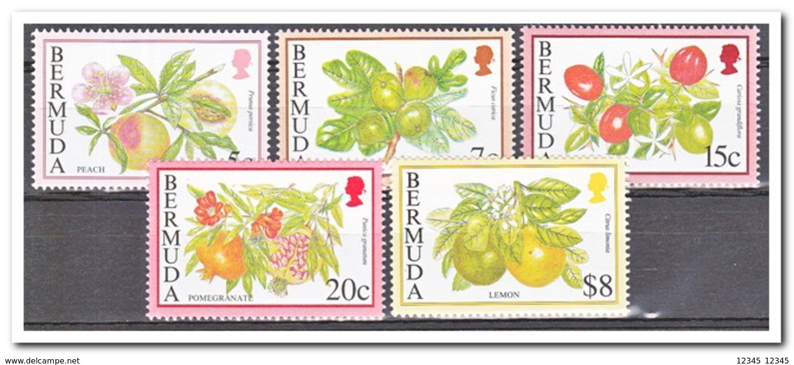 Bermuda 1994, Postfris MNH, Fruit - Bermuda