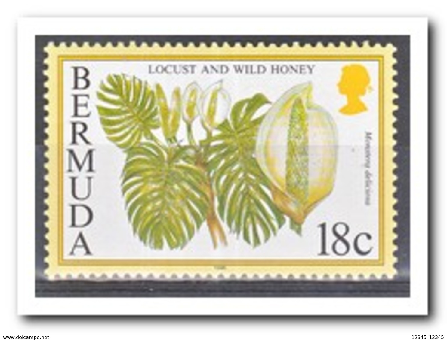 Bermuda 1996, Postfris MNH, Plant, Wild Honey - Bermuda