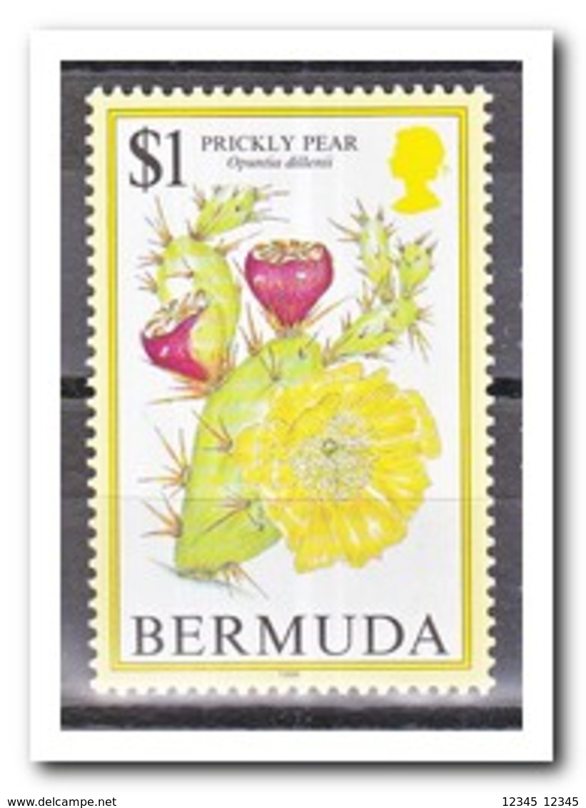 Bermuda 1998, Postfris MNH, Fruit, Cacti - Bermuda