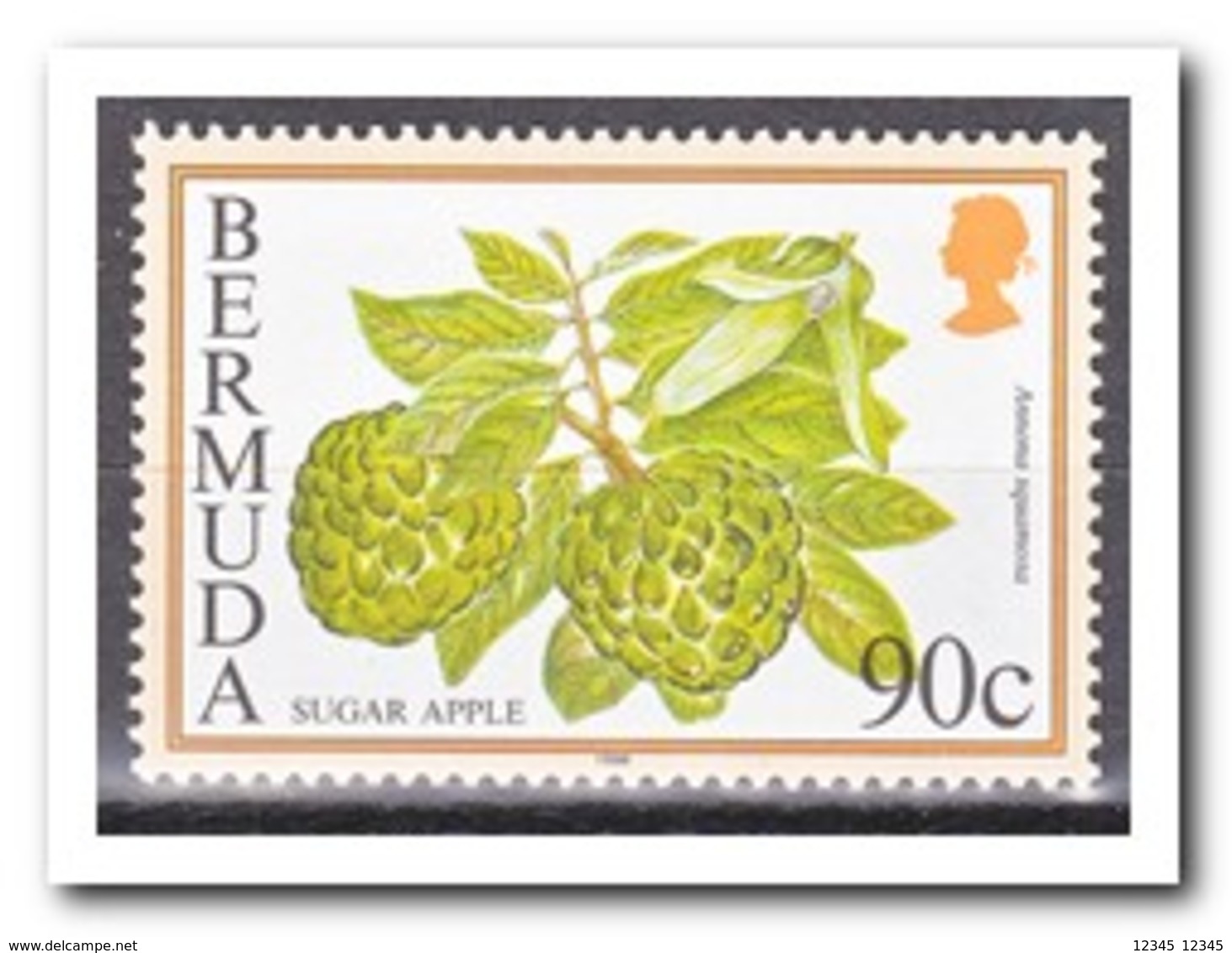 Bermuda 1998, Postfris MNH, Fruit - Bermuda