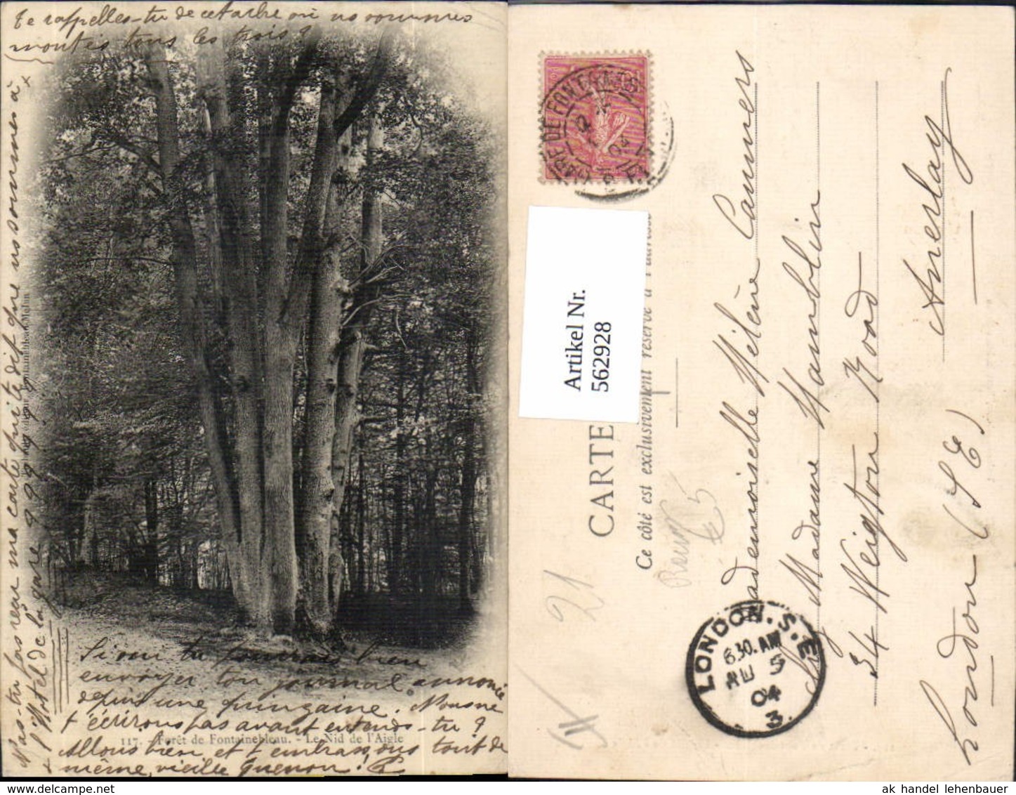 562928,Foret De Fontainebleau Le Nide De L Aigle B&auml;ume Baum - Sonstige & Ohne Zuordnung