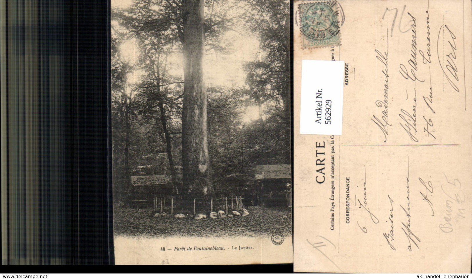 562929,Foret De Fontainebleau Le Jupiter B&auml;ume Baum - Sonstige & Ohne Zuordnung
