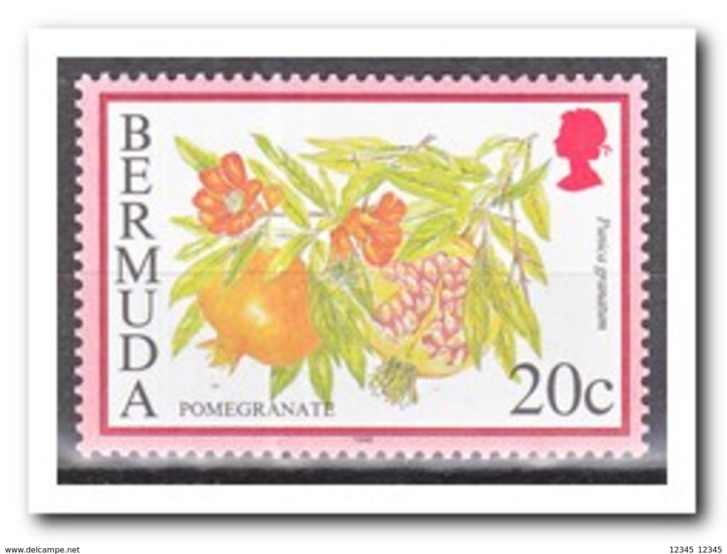 Bermuda 1998, Postfris MNH, Fruit - Bermuda