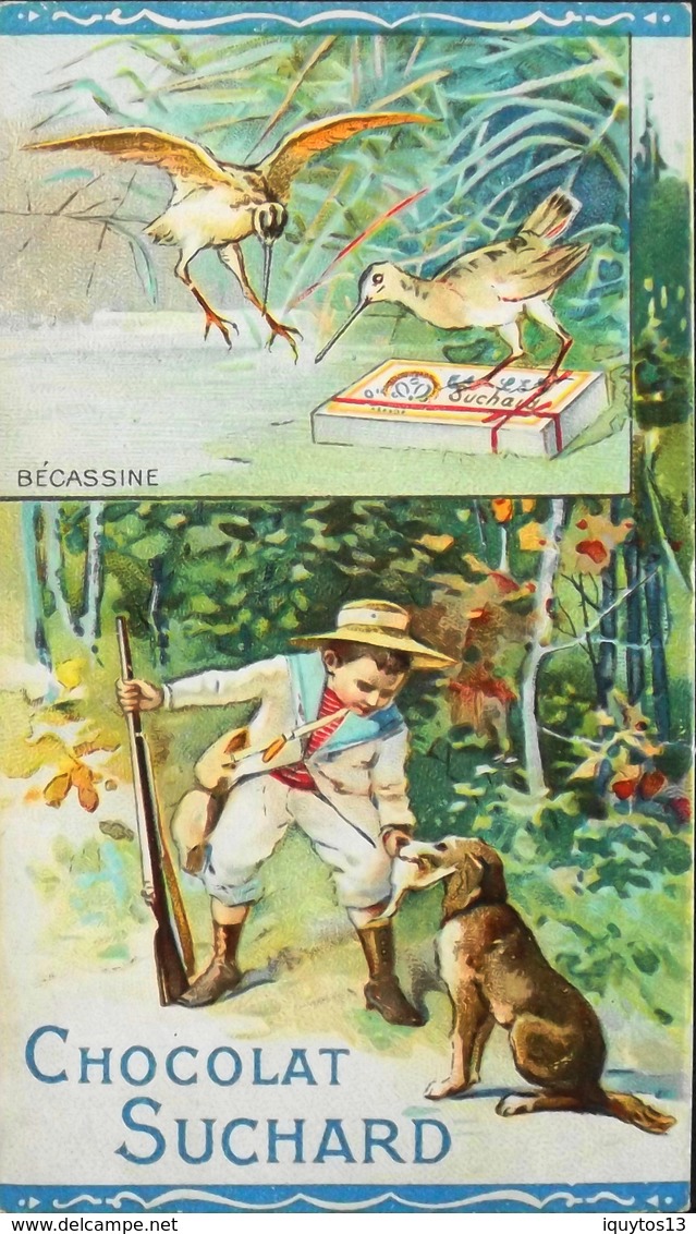 CHROMO & IMAGE - CHROMO. - CACAO SUCHARD - La Chasse à La Bécassine - En TB. état - Suchard