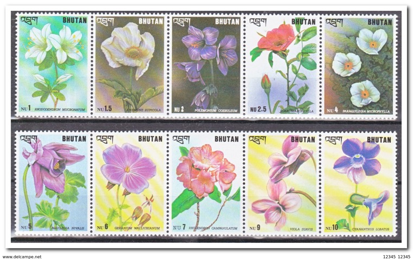 Bhutan 1994, Postfris MNH, Flowers - Bhutan