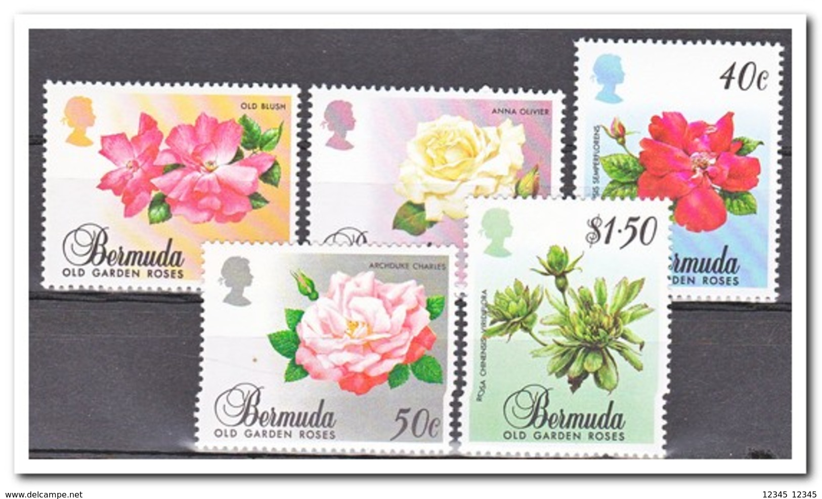 Bermuda 1988, Postfris MNH, Flowers - Bermudes