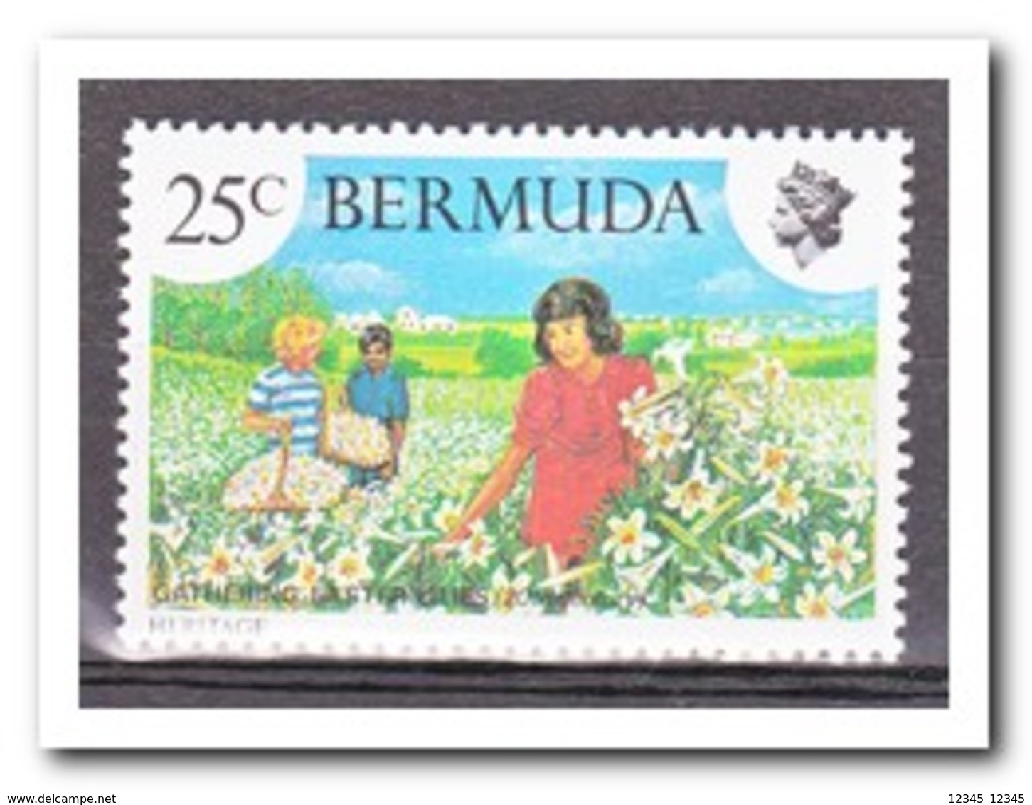 Bermuda 1981, Postfris MNH, Flowers - Bermuda