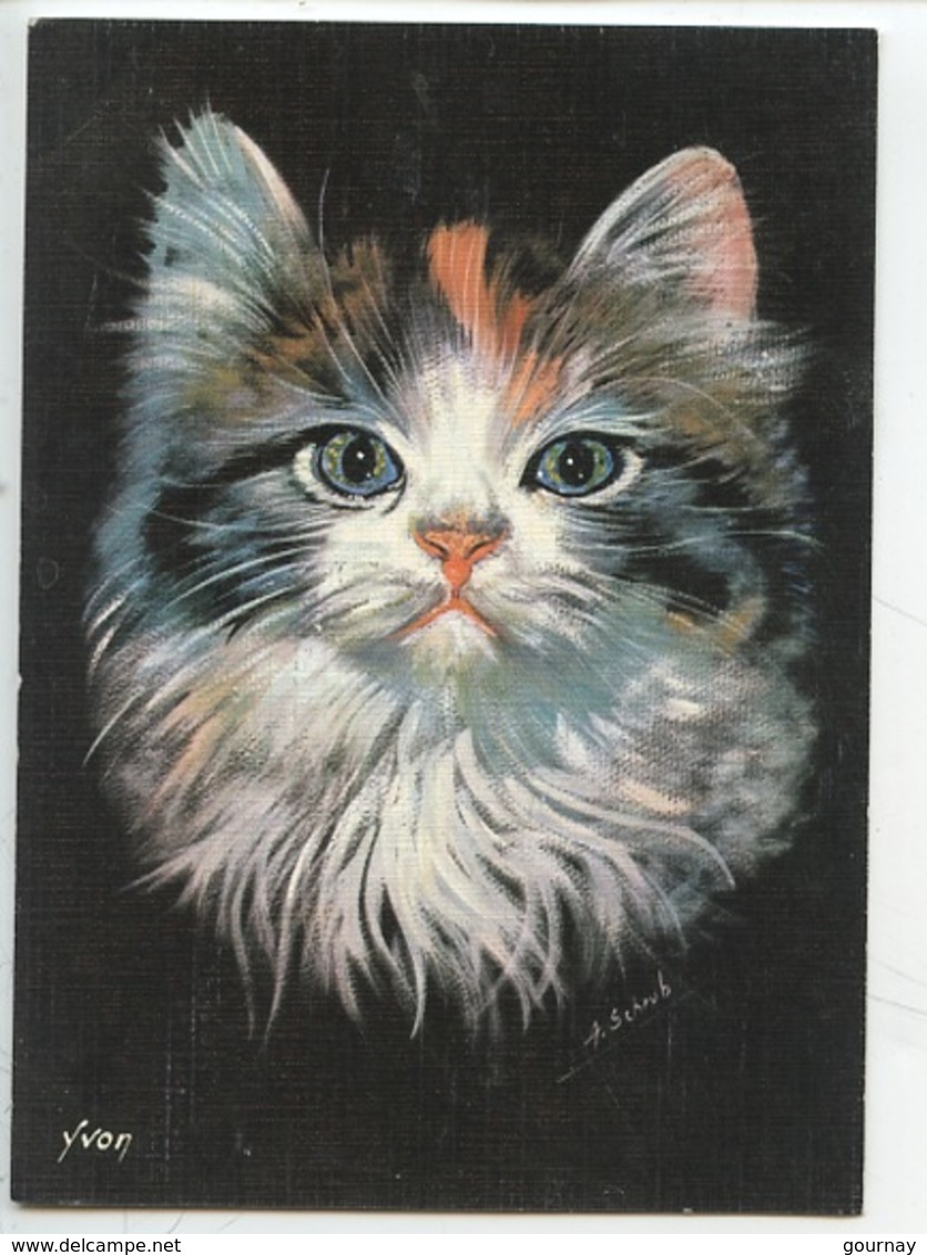 Chat : Chiens Et Chats Nos Amis Par Schrub Illustrateur Peintre (n°24/006/06 Cp Vierge) - Katzen