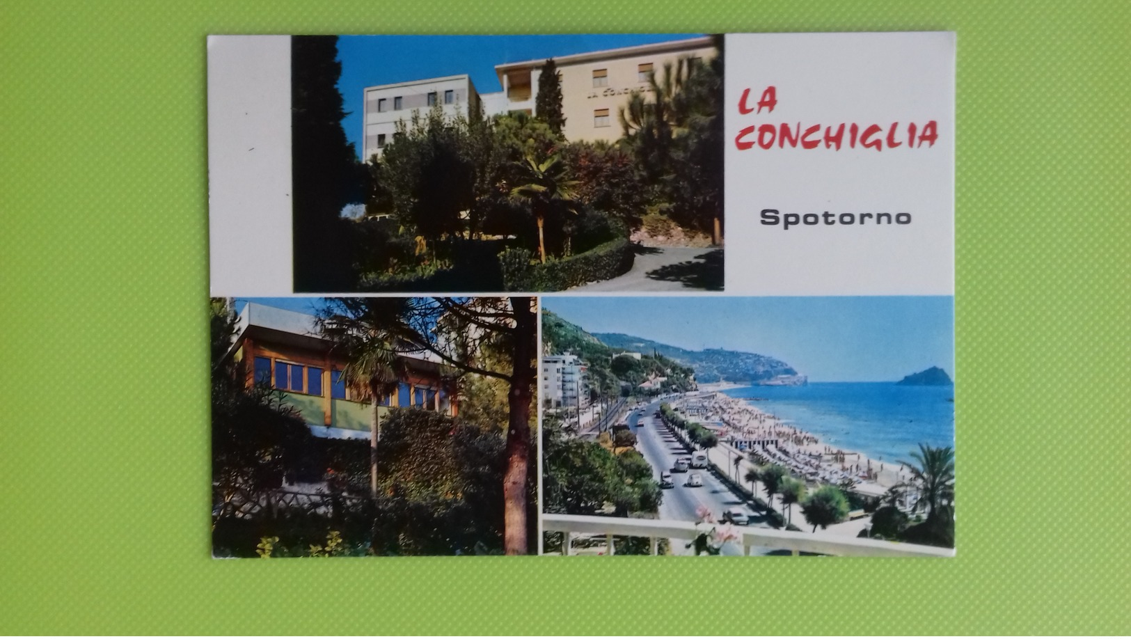 Cartolina SPOTORNO - SV - Viaggiata - Postcard - Soggiorno "La Conchiglia" Della Charitas Ambrosiana - Savona