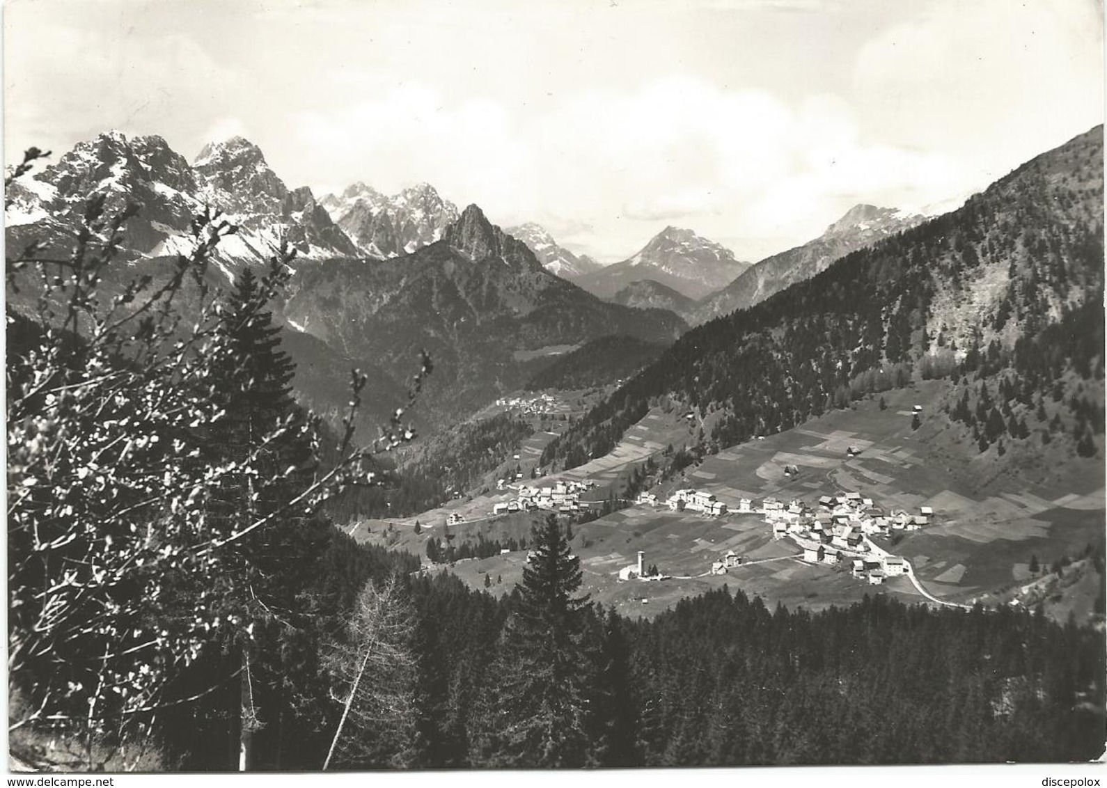 X1848 Collina Di Forni Avoltri (Udine) - Panorama Con Le Catene Del Monte Pleros / Viaggiata 1964 - Altri & Non Classificati