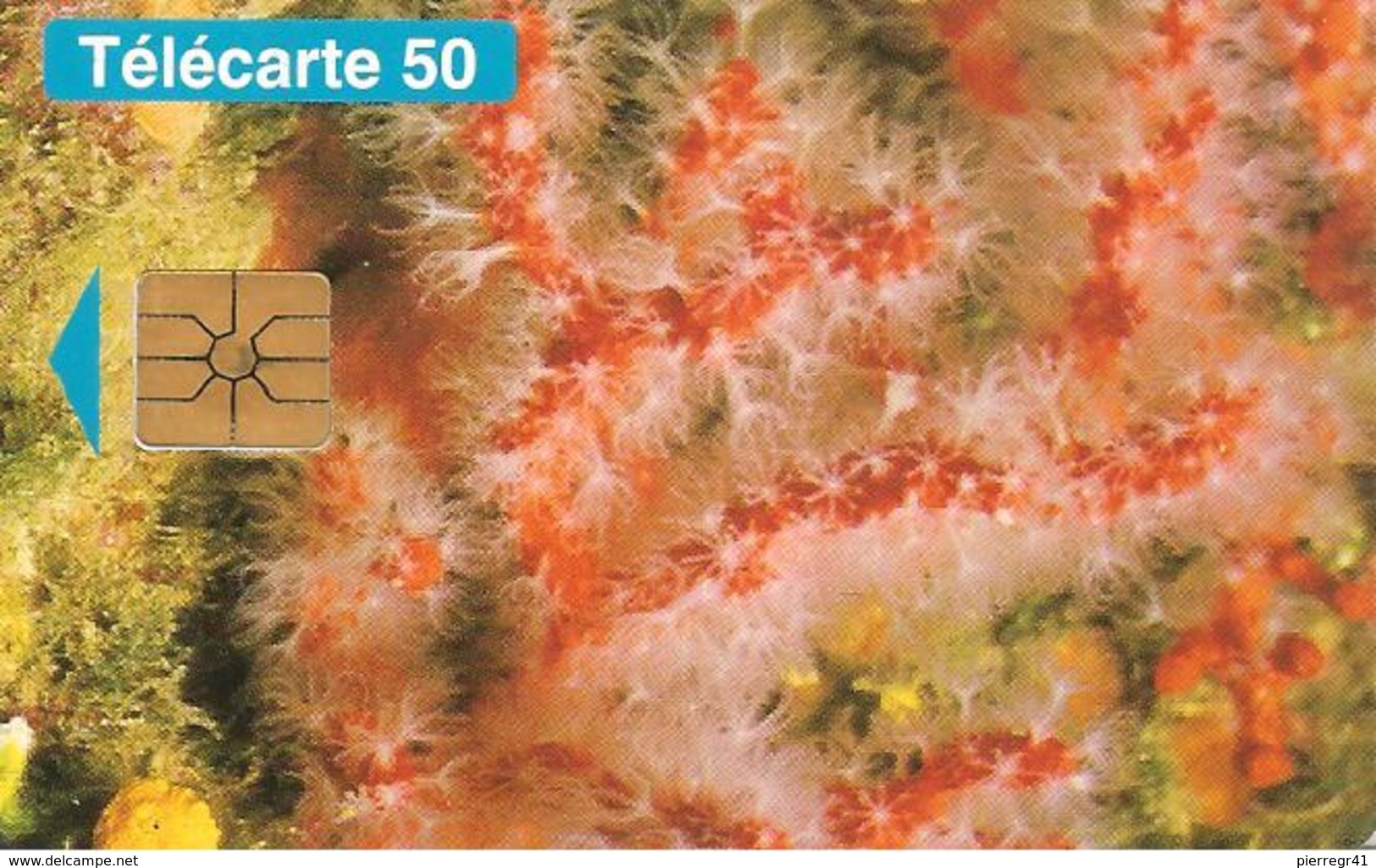 CARTE-PUBLIC-MONACO-50U-MF33-GEMA-01/95-Sans Logo-R° Glacé-PROTECTION DE LA NATURE-V° DN°Série B4B014002-TBE- - Monace