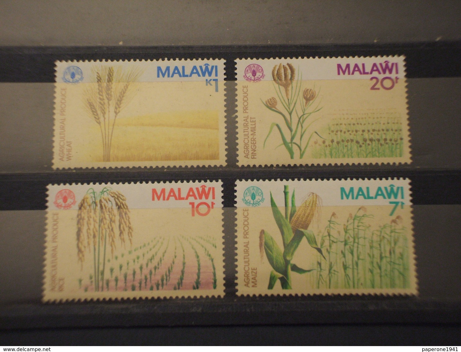 MALAWI - 1981 AGRICOLTURA  4 VALORI - NUOVI(++) - Malawi (1964-...)